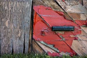 Adobe Color