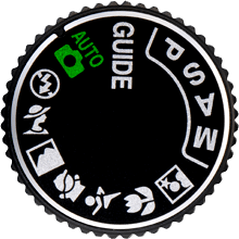 Nikon Dial