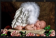 newborn