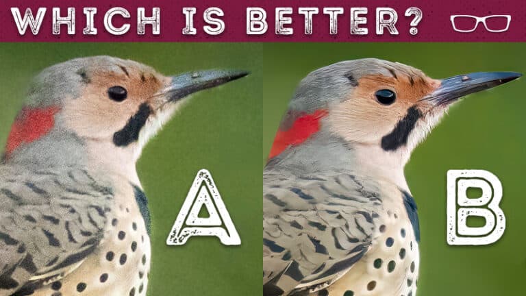 which is better