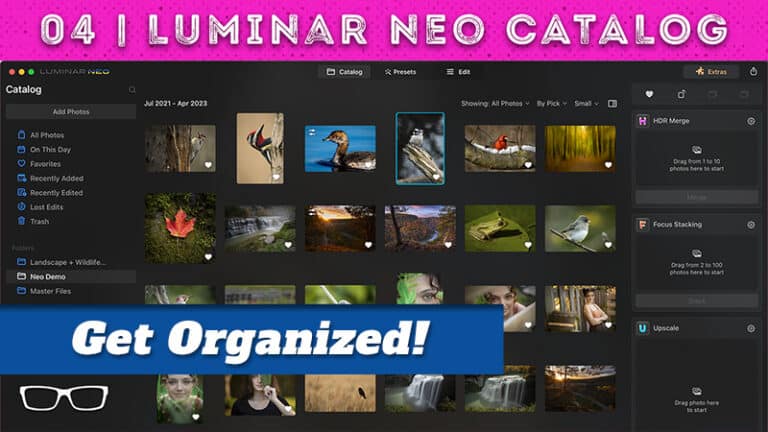 luminar neo catalog tutorial