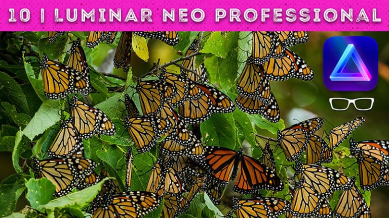 luminar neo pro editing