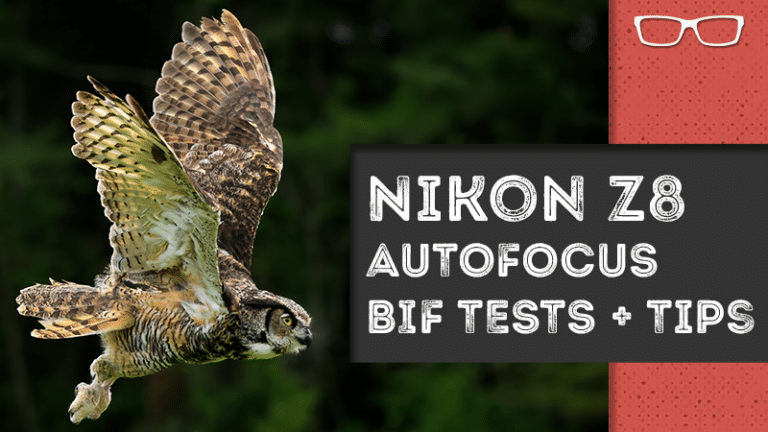 nikon z8 autofocus tests bif