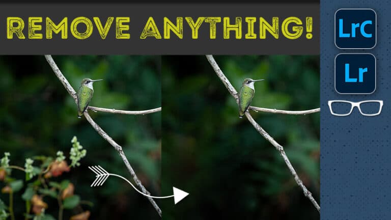 remove anything in lightroom