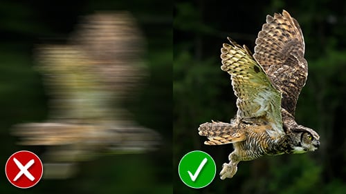 shutter speed deep dive