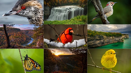 NEW Photography for Beginners Course