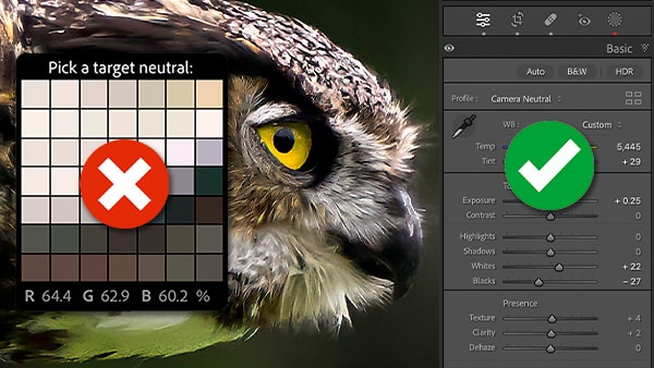 white balance Advanced