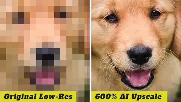 gigapixel 7 vs topaz photo ai 3