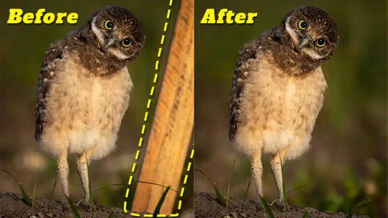 3 solutions for problems that arrive when removing objects in Lightroom