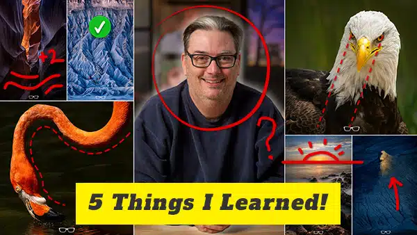 5 things i learned