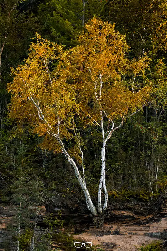 how to edit fall photos