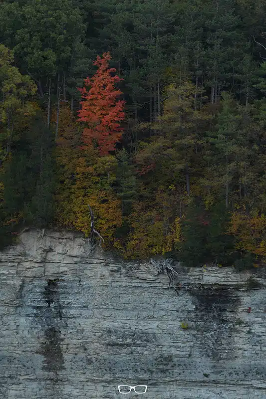 how to edit fall photos