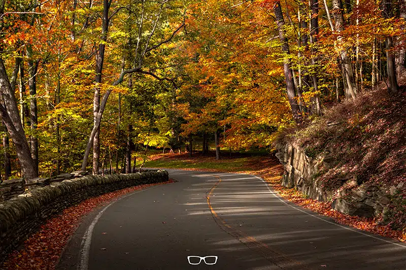 how to edit fall photos in lightroom